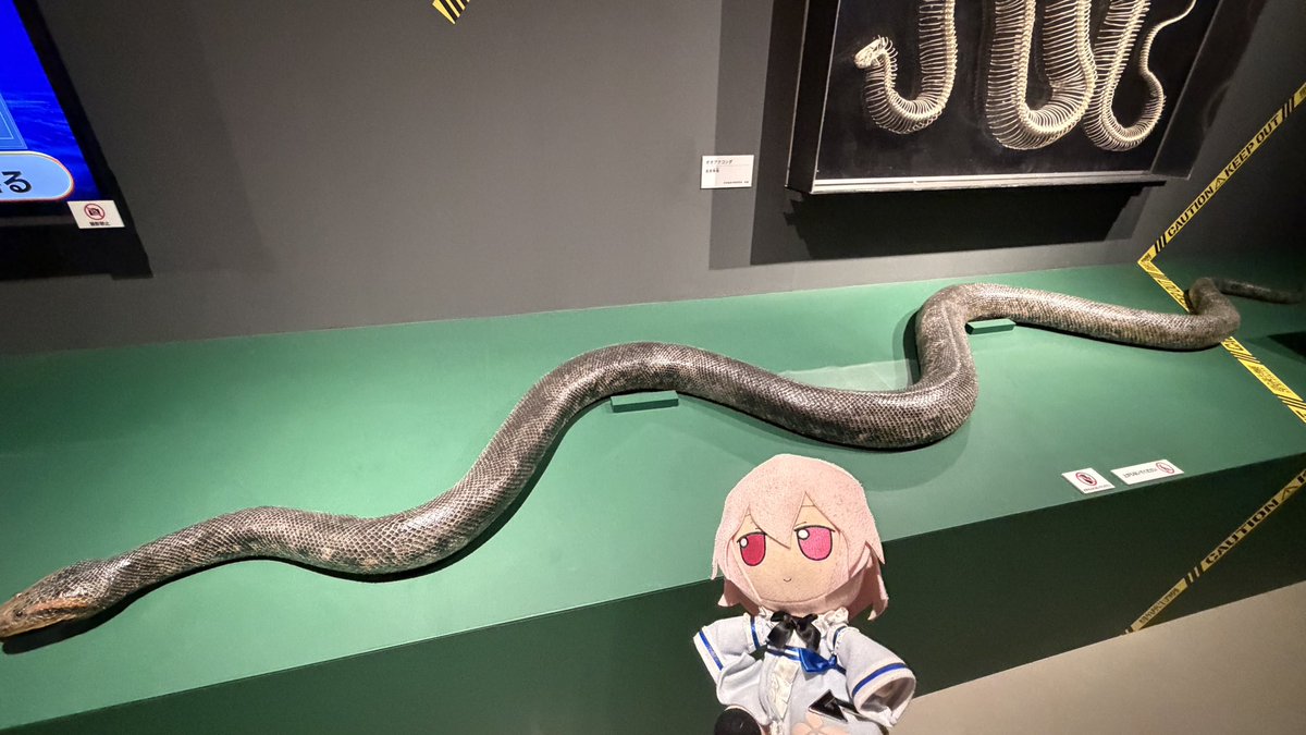 ふもふも幻想郷/Fumo JP Server tweet media