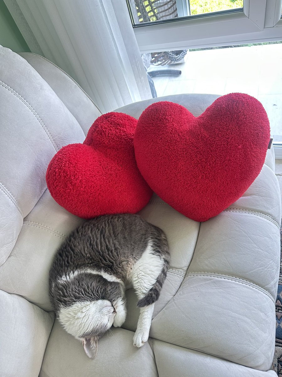 emoshland tweet media