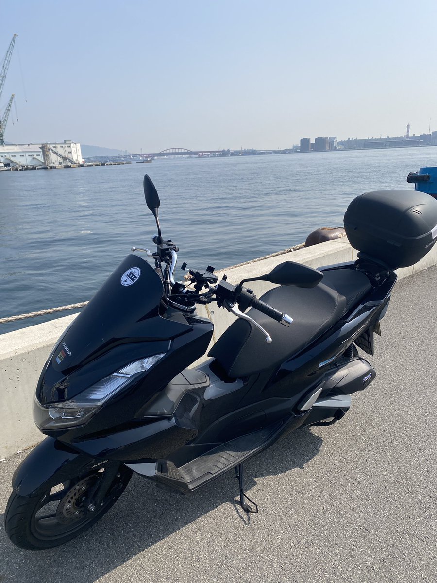 トヨナカAA244(New) tweet media