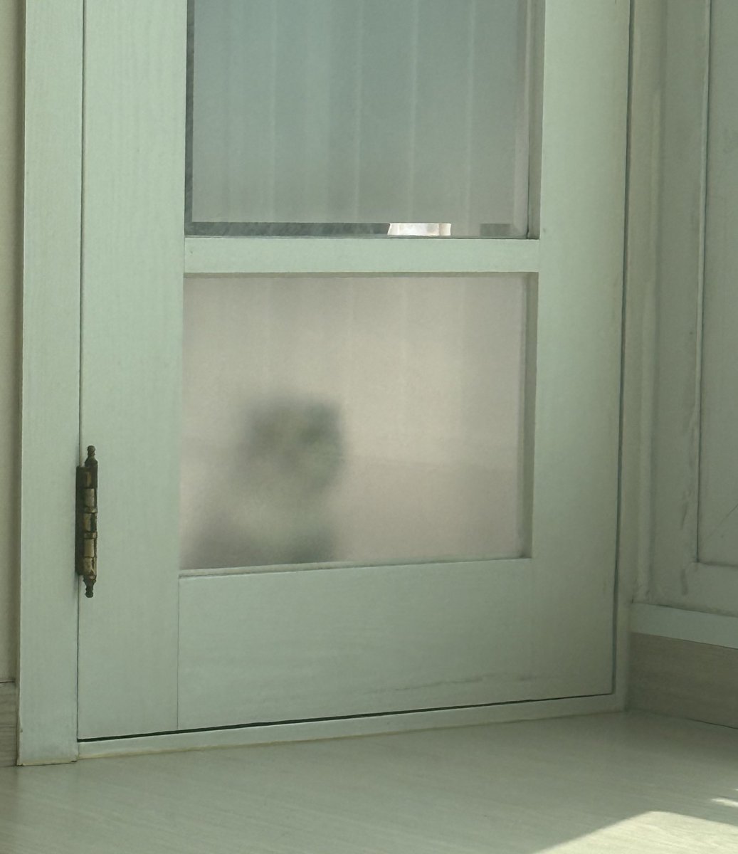 ᘛ⁐̤ᕐᐷ❄️ tweet media