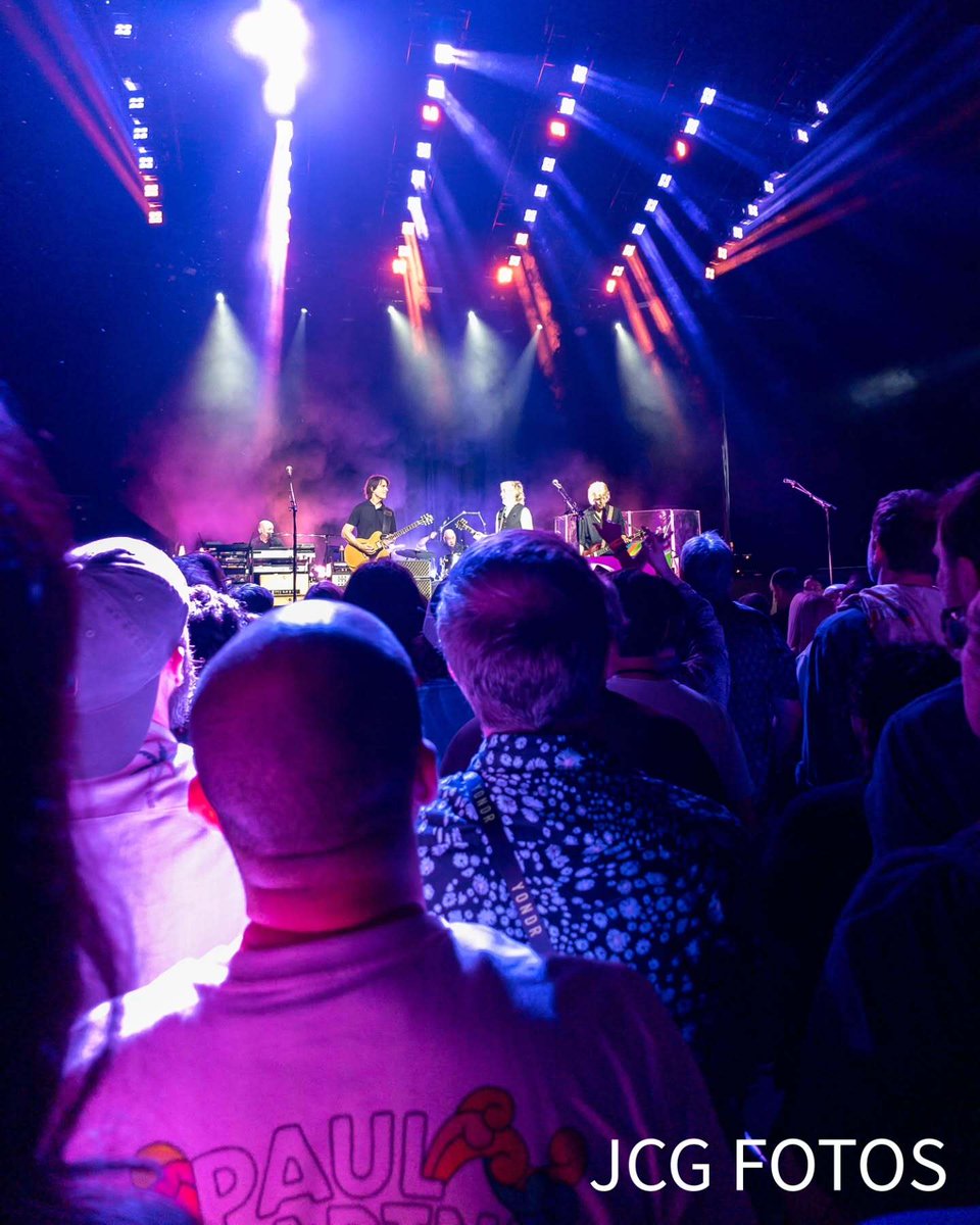 The Beatle BR 🍏🐦⬛ tweet media