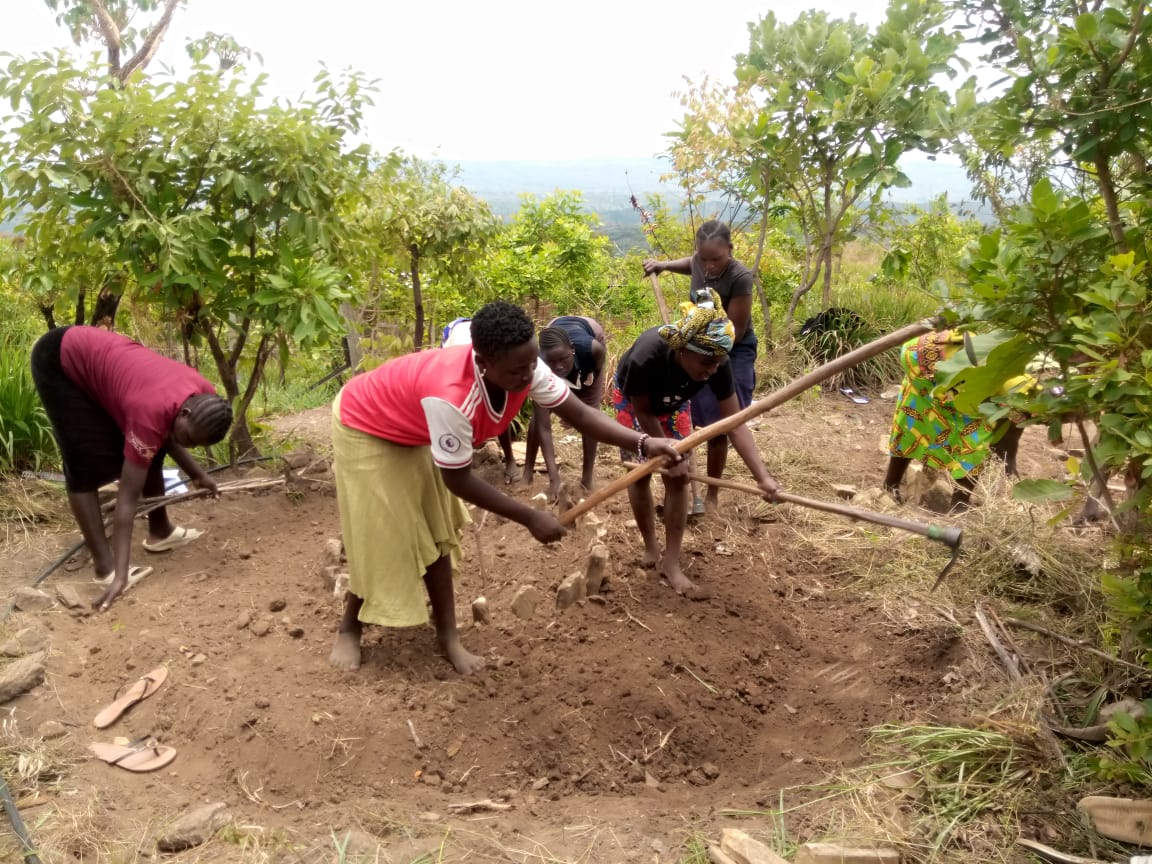 Qavah institute tweet media