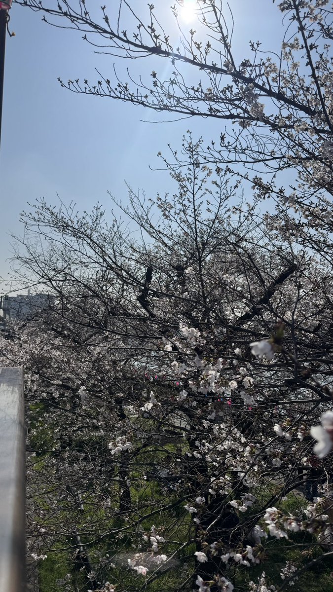 だんな tweet media