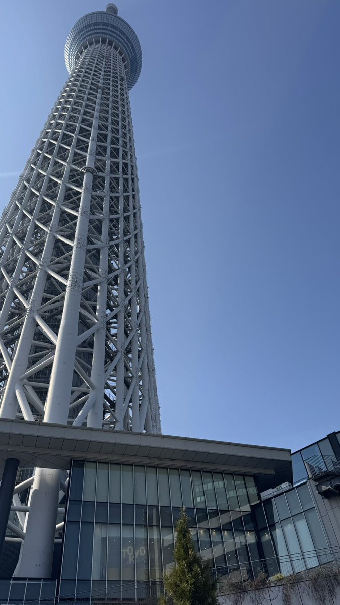 だんな tweet media