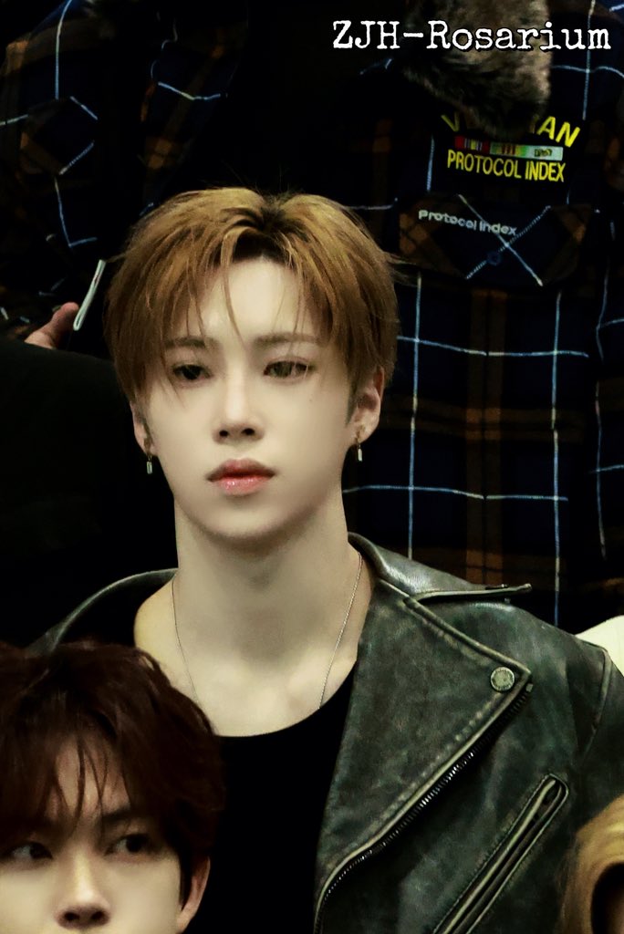 ZJH-Rosarium tweet media