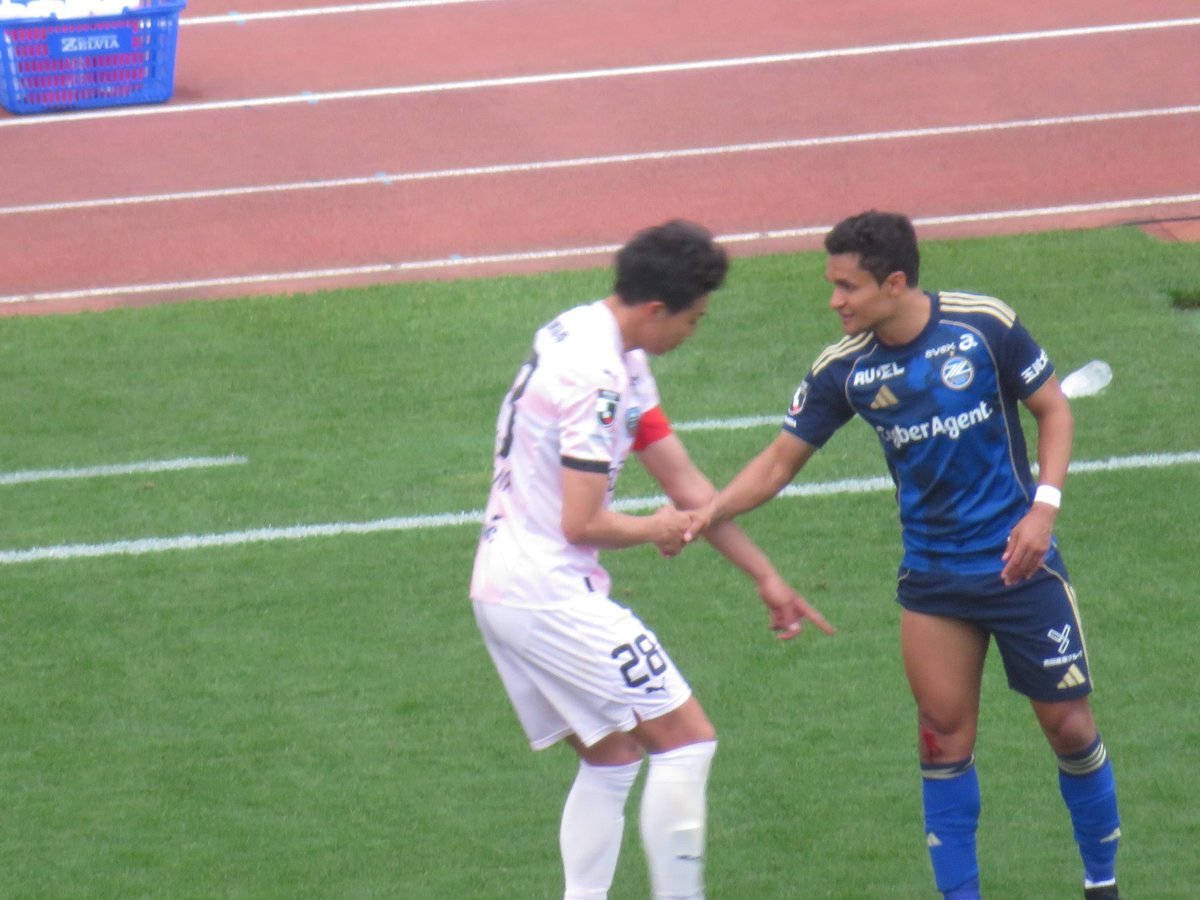 ゼルペスくん🐦 tweet media