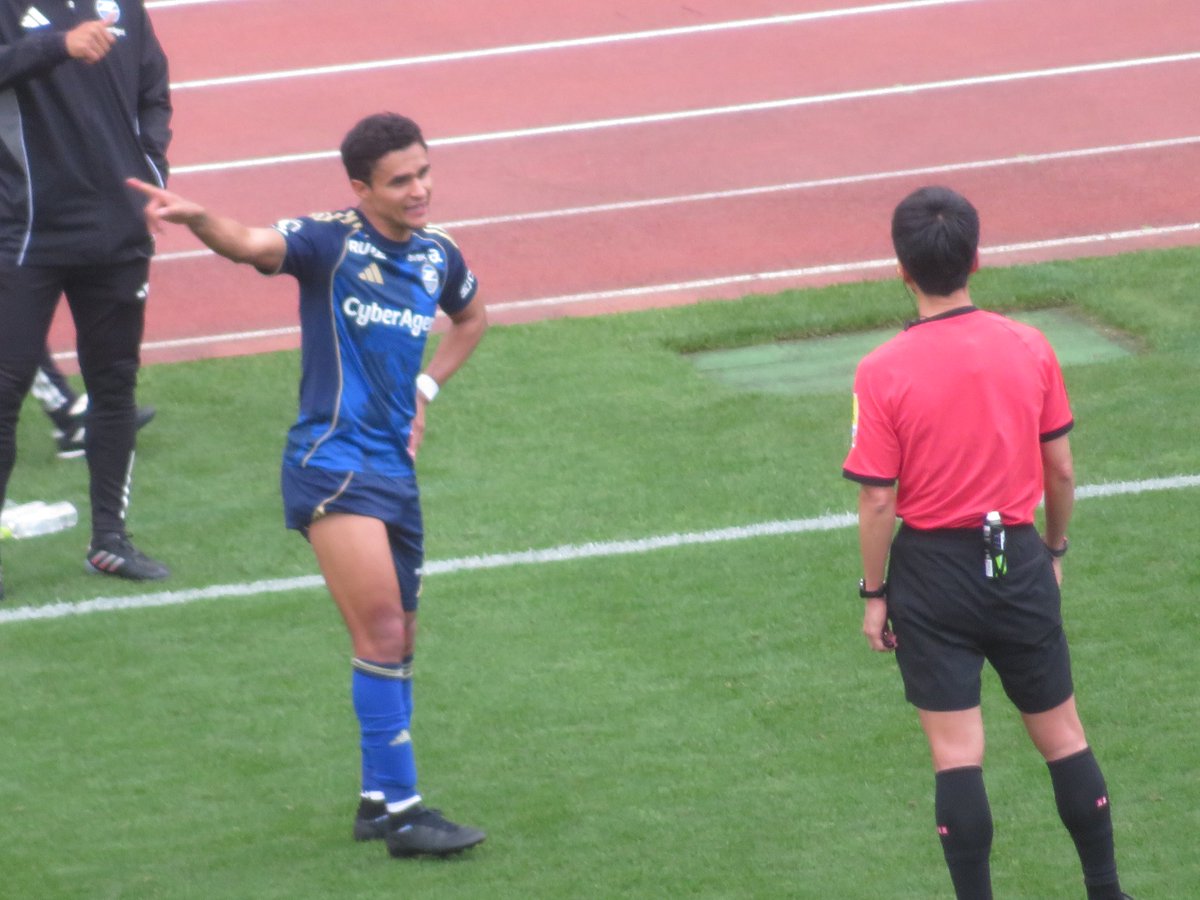 ゼルペスくん🐦 tweet media