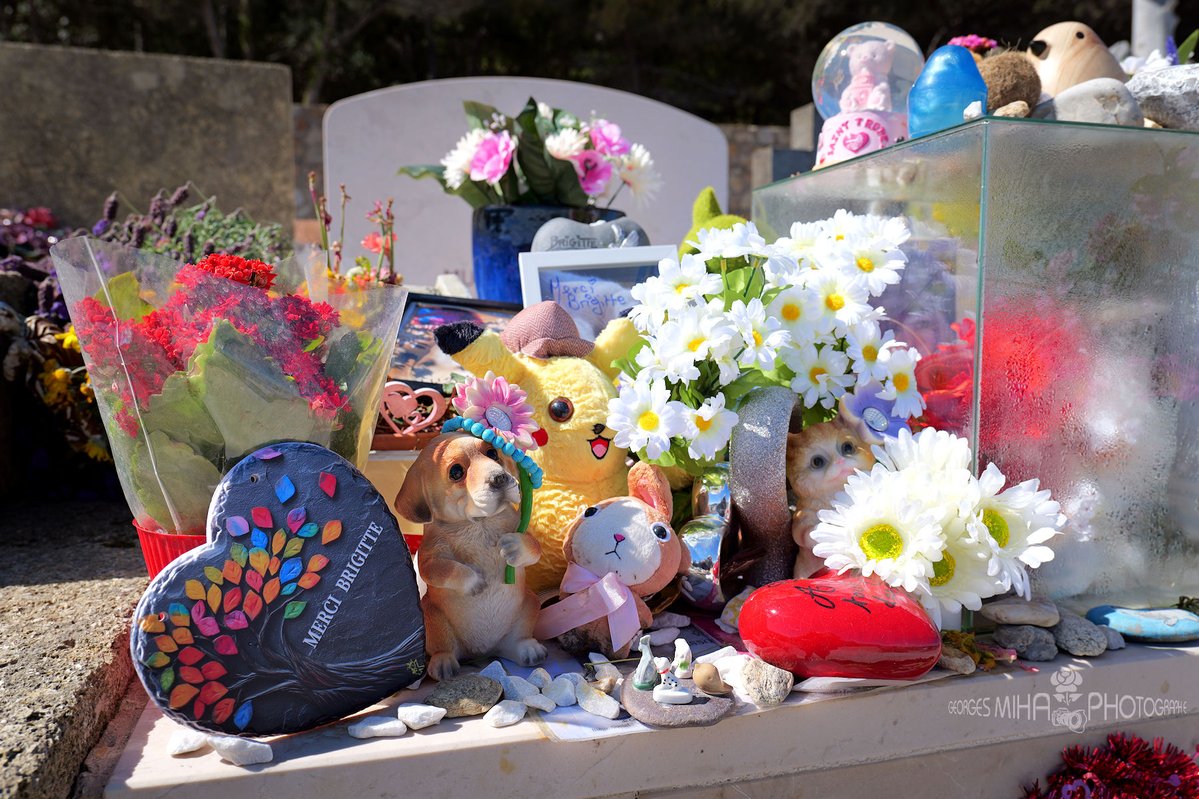 Georges MIHA tweet media