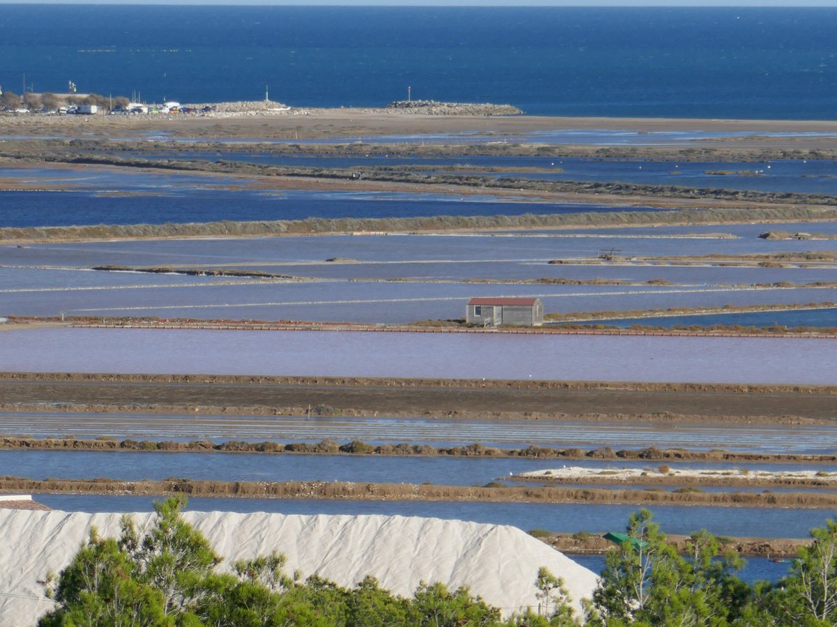 Balade Sympa🏃 tweet media