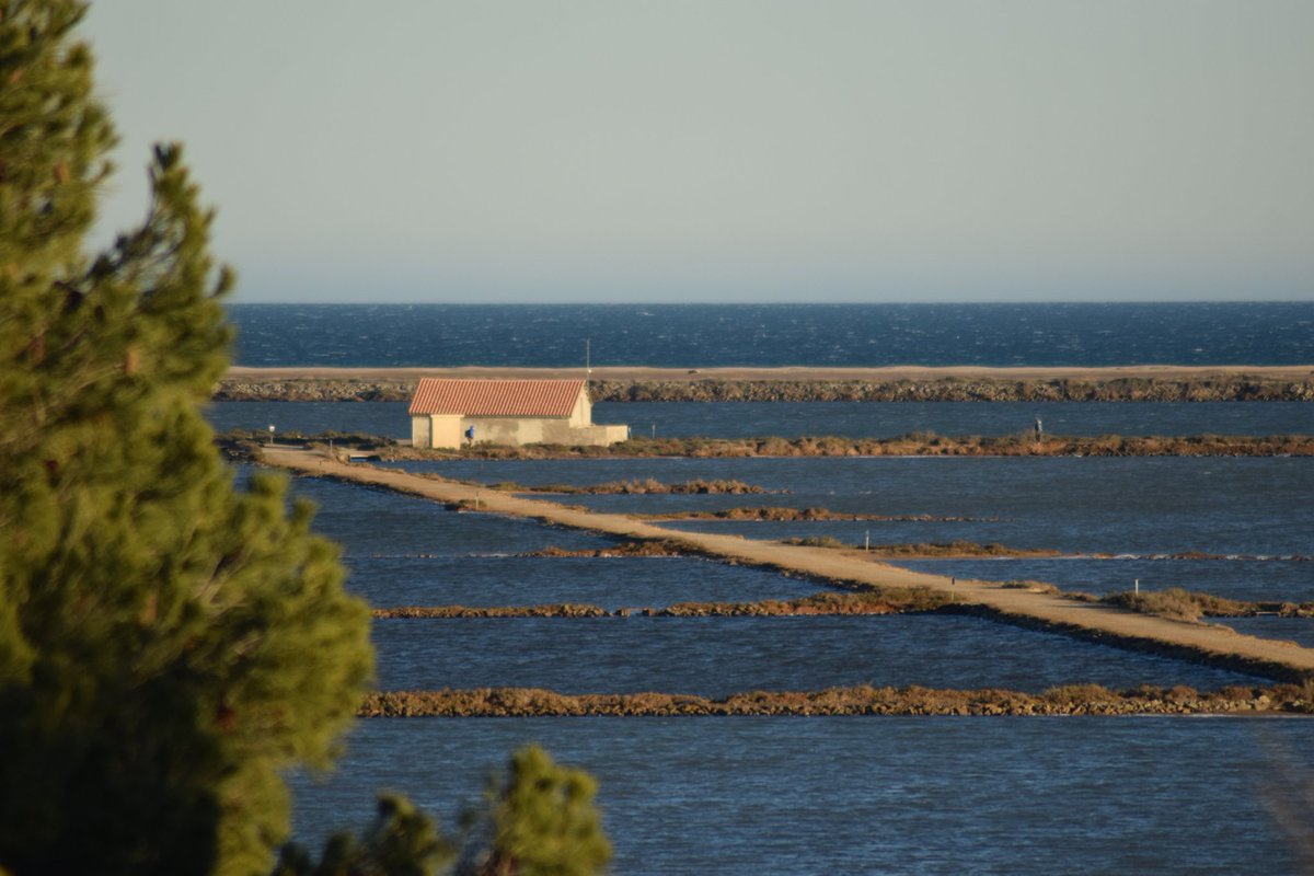 Balade Sympa🏃 tweet media