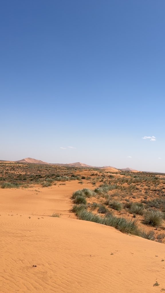 عبدالله السلطان tweet media