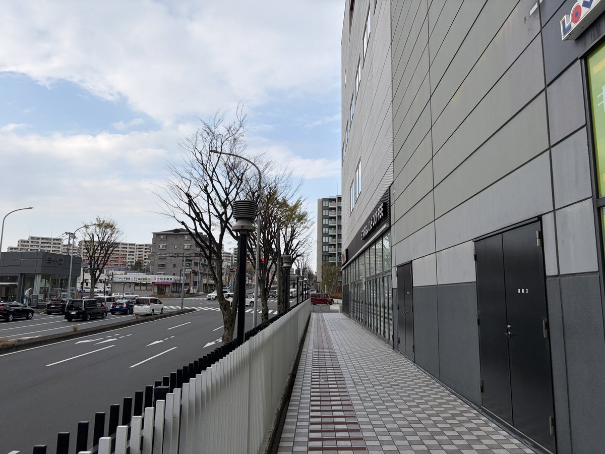 シャイ煮@丁 tweet media