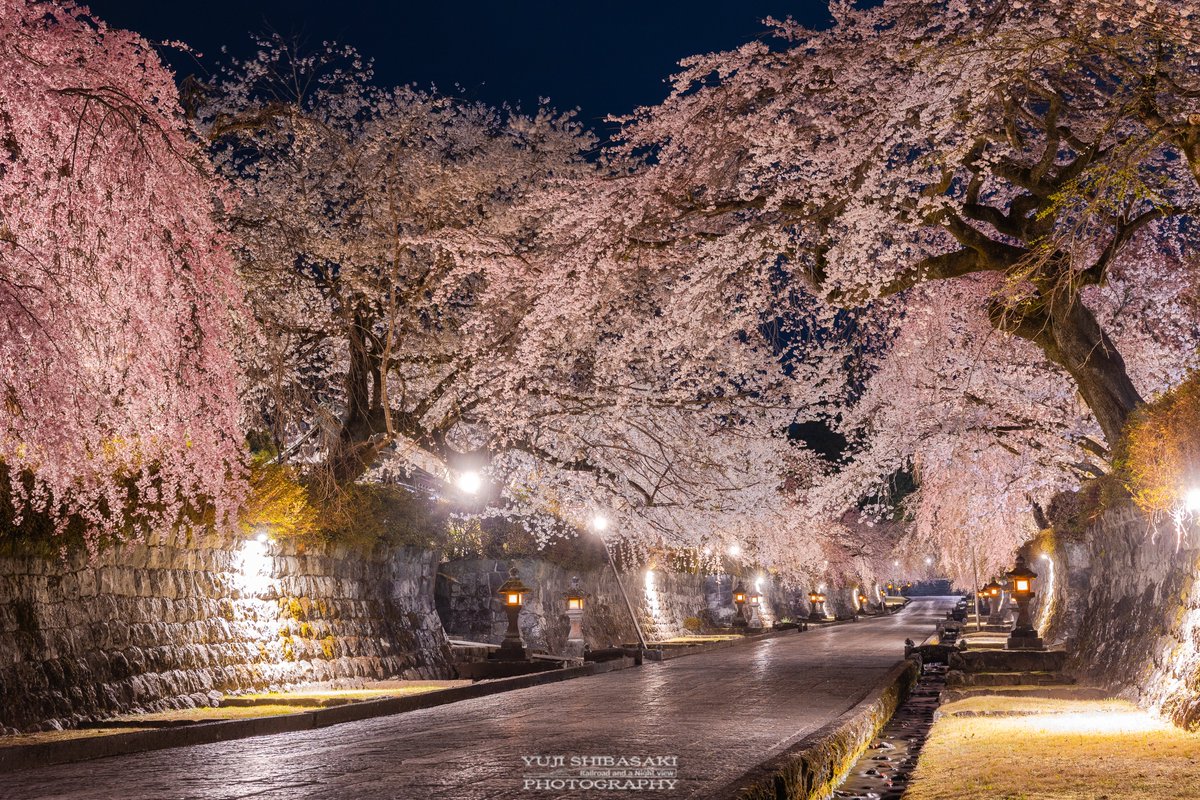 Yuji Shibasaki＠Photo tweet media