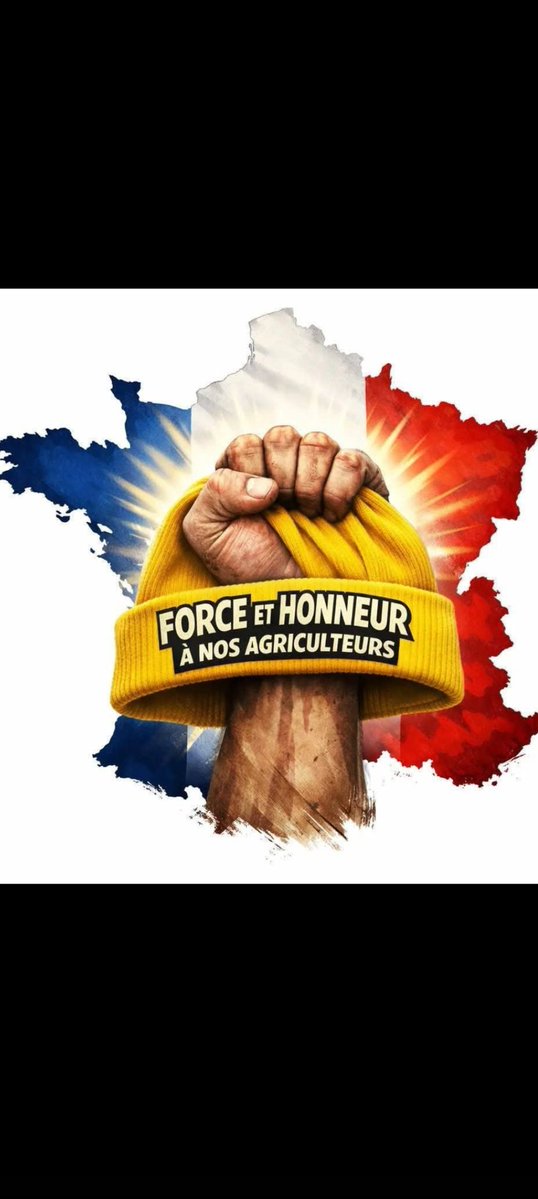 MANU 59 #Patriote❤️🇫🇷⚜️,#je soutiens le RN🇫🇷 tweet media