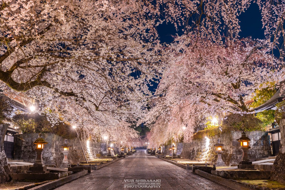 Yuji Shibasaki＠Photo tweet media