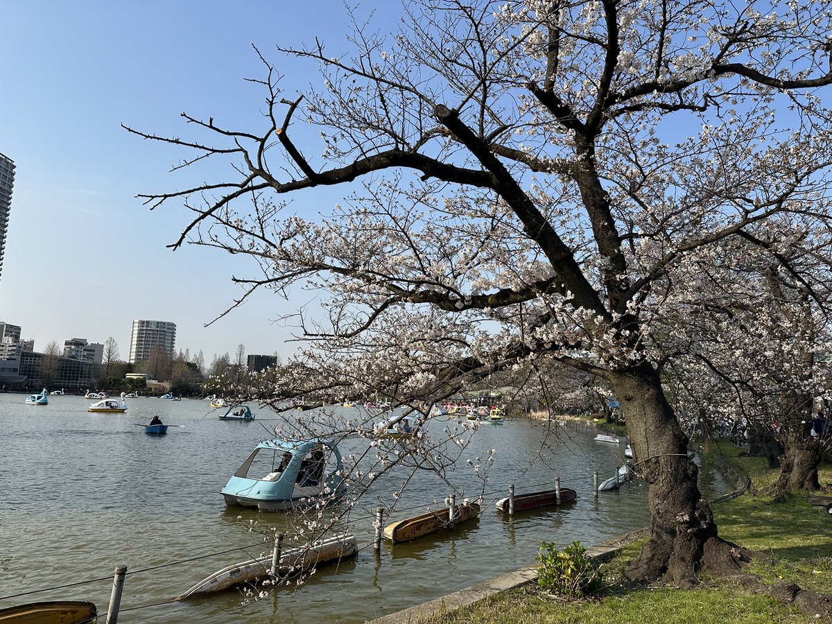 名なす@DJ5とZRR85 tweet media