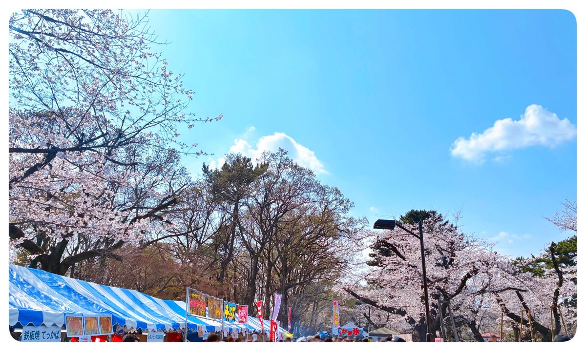 フィール（feel.） tweet media