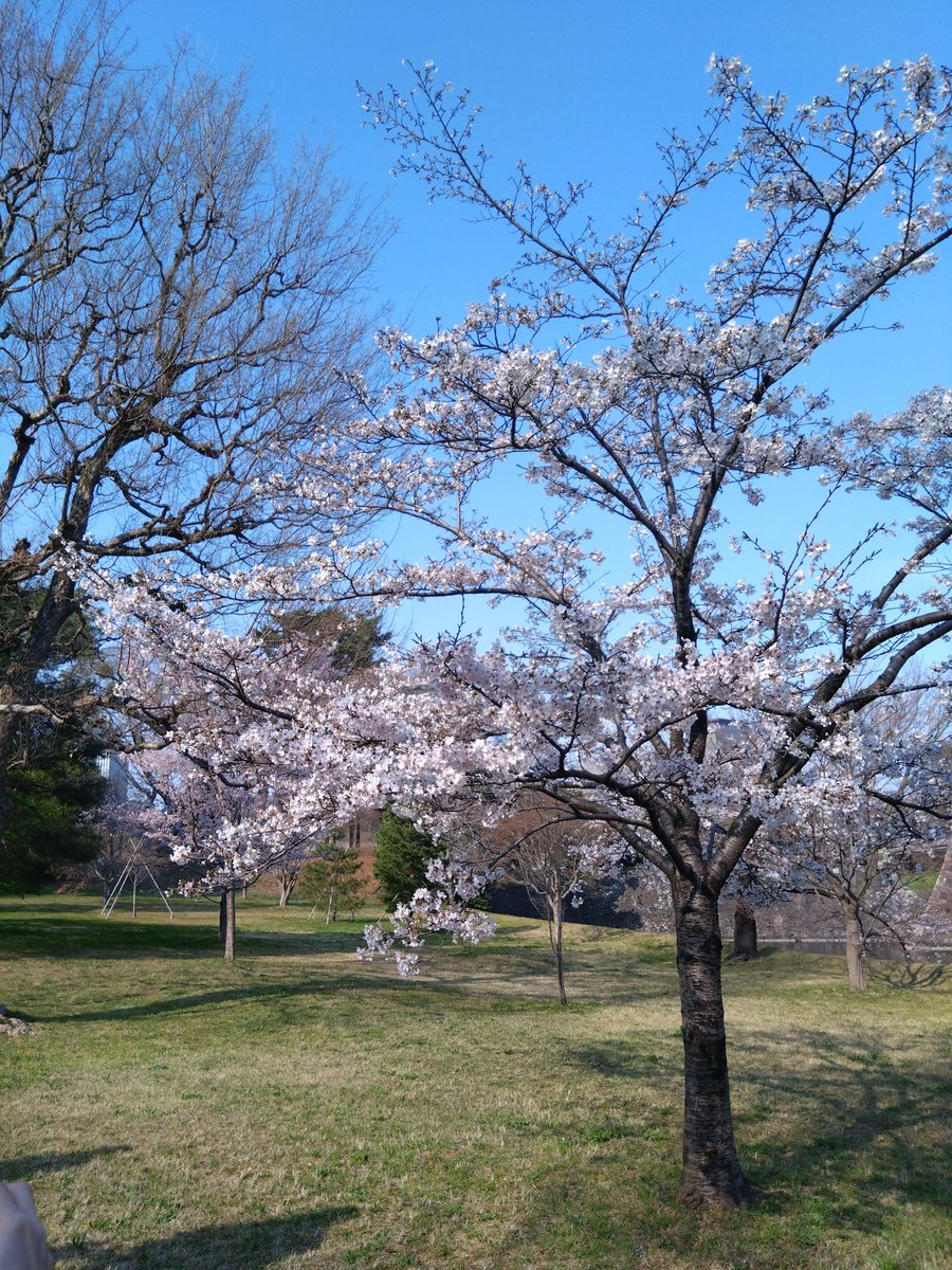 YasaNa9i tweet media