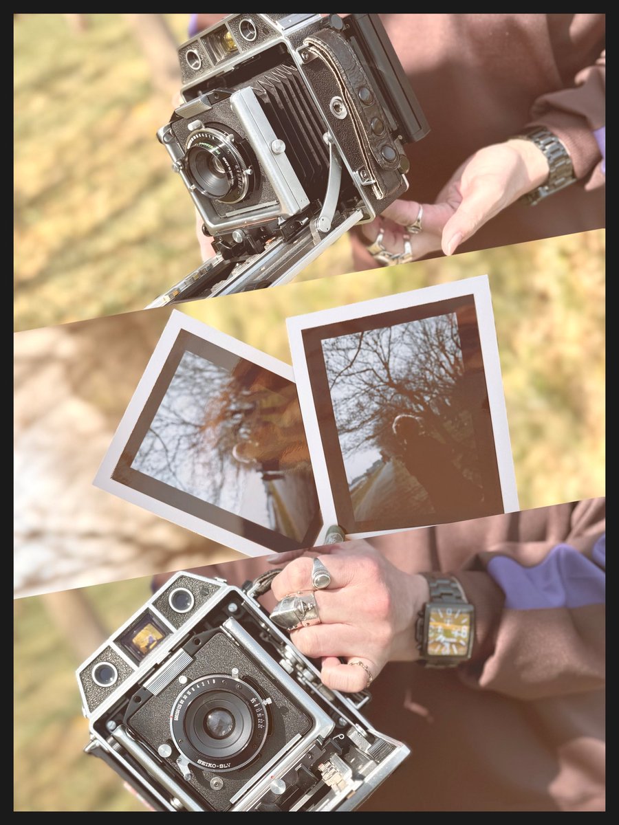 月野むん🌕🌛 tweet media