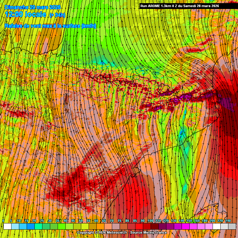 Àlex Van der Laan tweet media