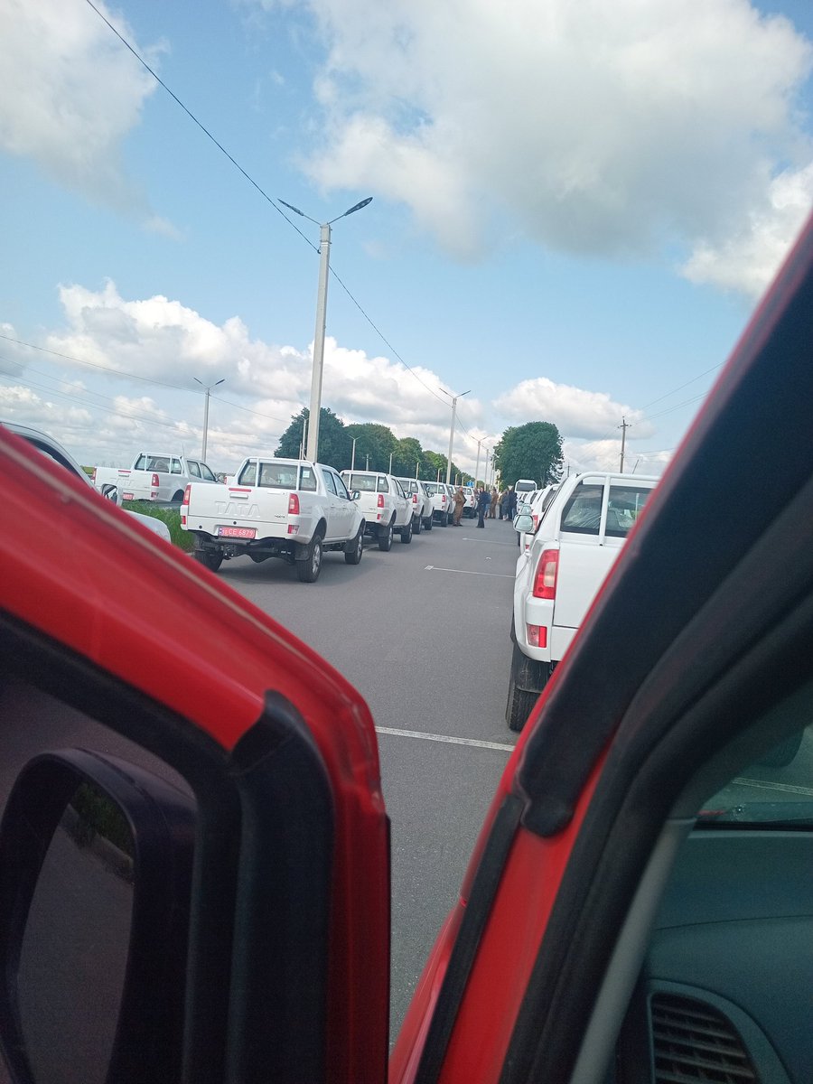 kotofey🇺🇦 tweet media