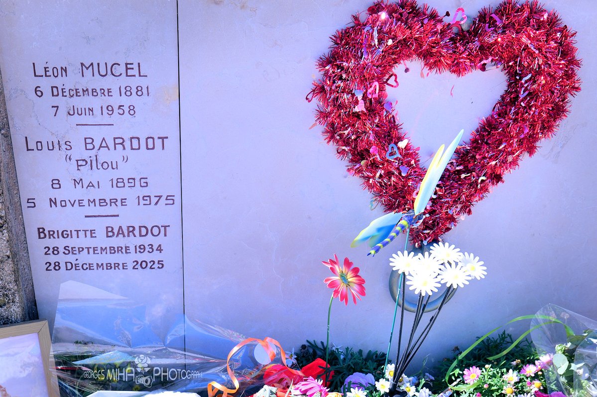 Georges MIHA tweet media