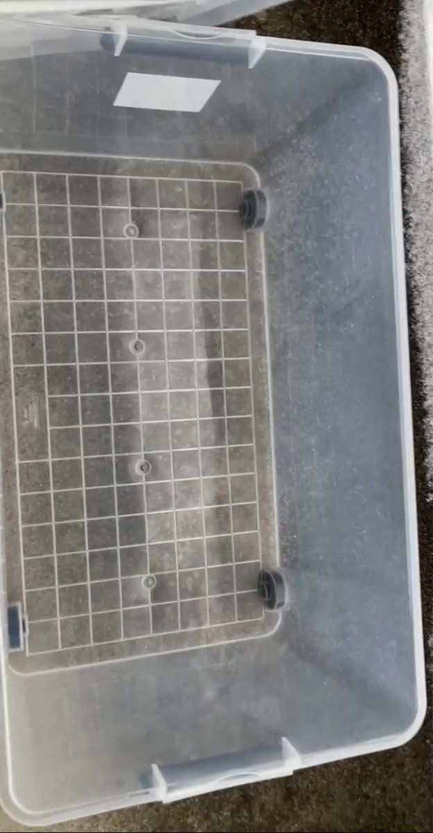 Amazonマスター tweet media