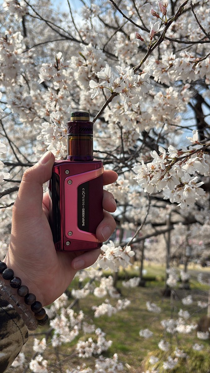 o52o_o1k's tweet photo. ハンチェ
天平の丘公園!
#geekvape #deadrabbit #cigusto https://t.co/NlavadkXMp