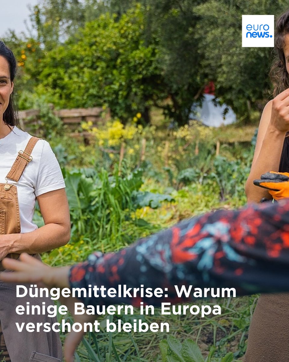 Euronews Deutsch tweet media