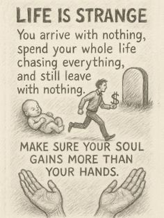 December Manana tweet media