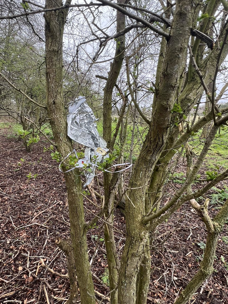 Russell ChalkStreamsInCrisis 🦇🦎🦇🦎 tweet media