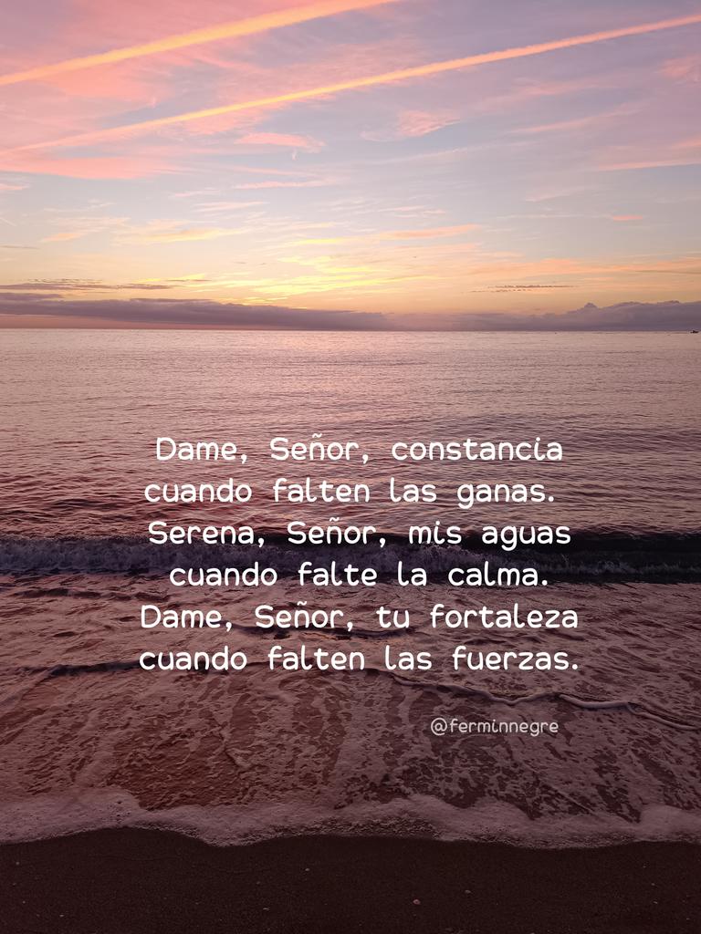 🪔 Fermín Negre 🎏 tweet media