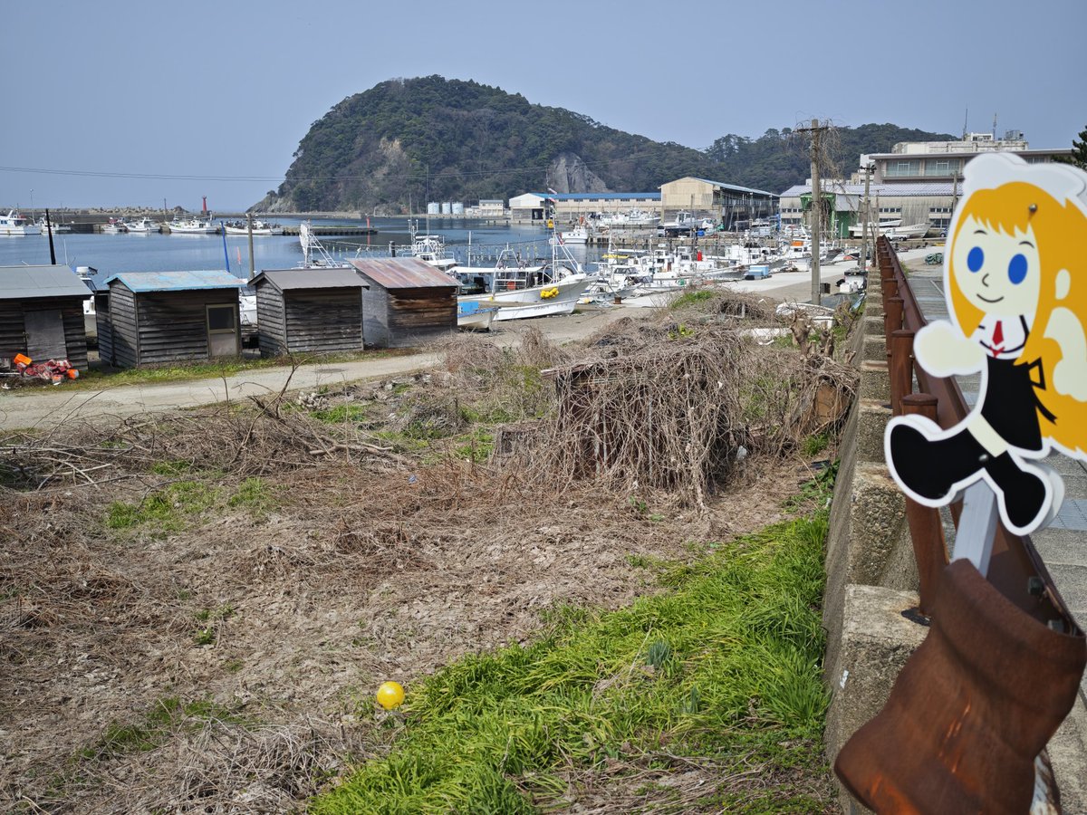 〜Natukage〜 tweet media