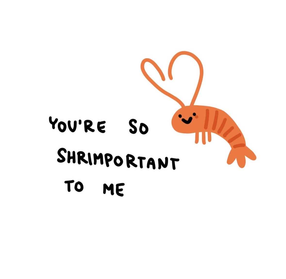 raccoon aesthetic. tweet media