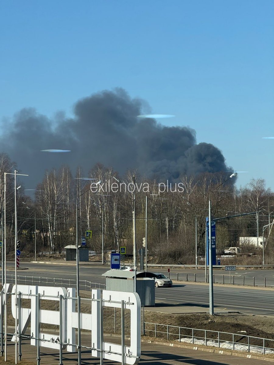 Special Kherson Cat 🐈🇺🇦 tweet media