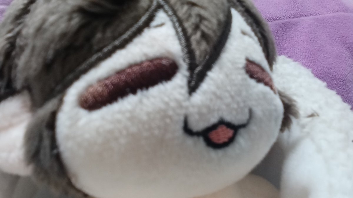 토강이 tweet media