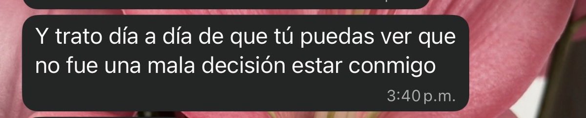 Andrómeda 🦋 tweet media