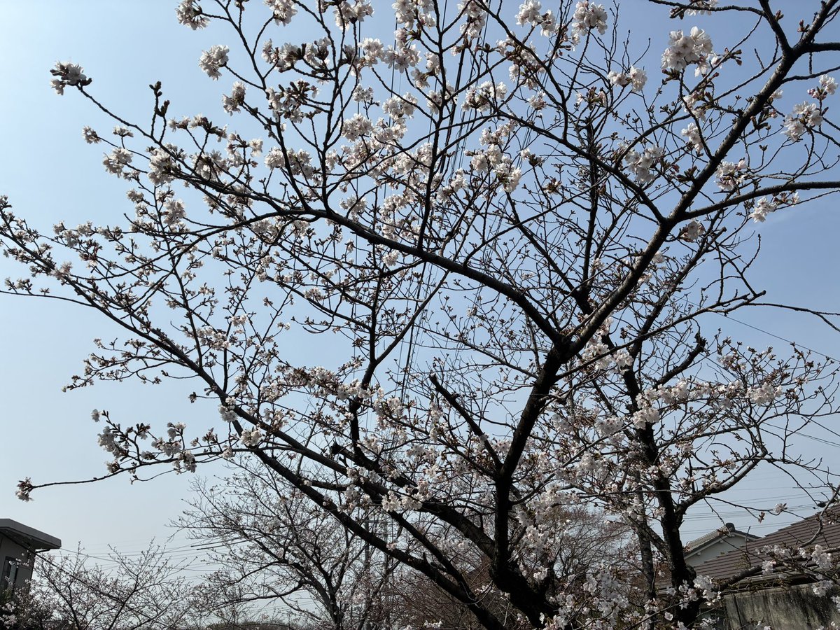 たけ♪ tweet media