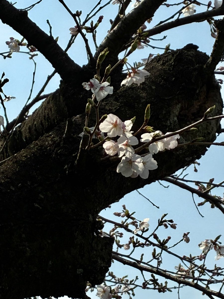 たけ♪ tweet media