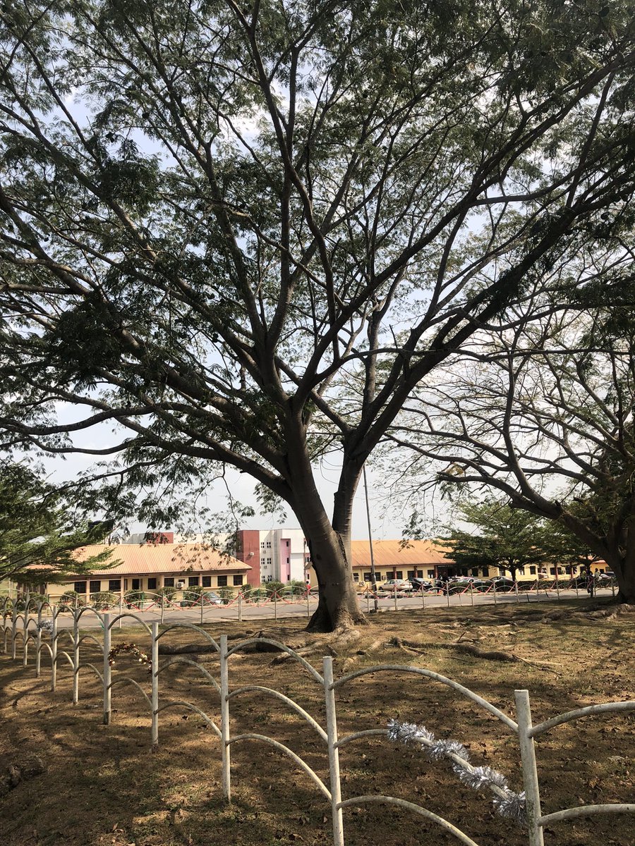 Arabasquiat tweet media