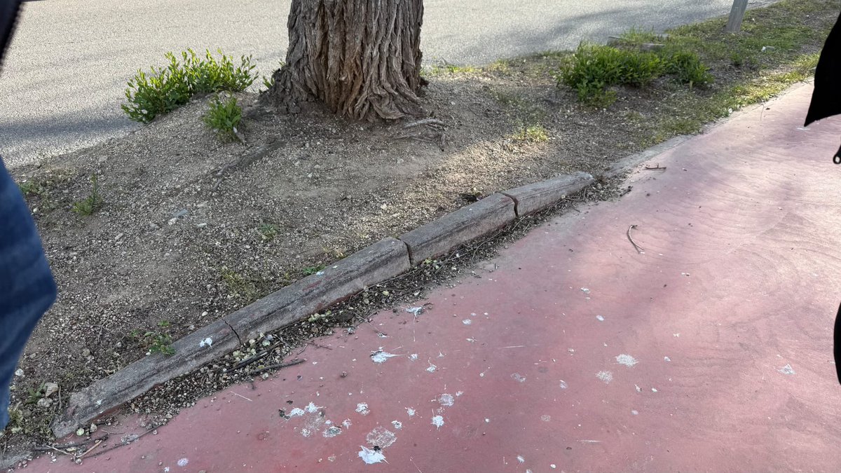 Xavi Estrada Fernàndez tweet media