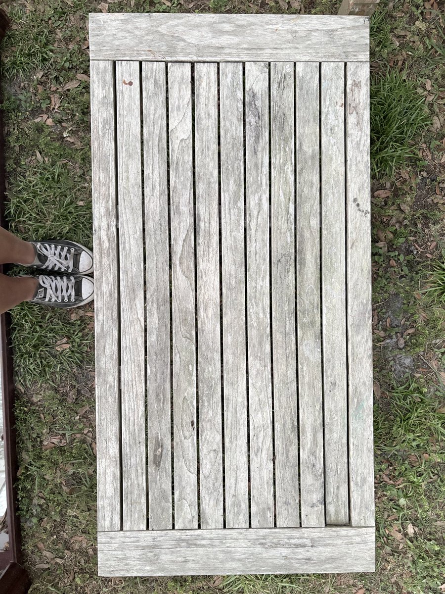 THE MAYOR (RE ELECTED) tweet media