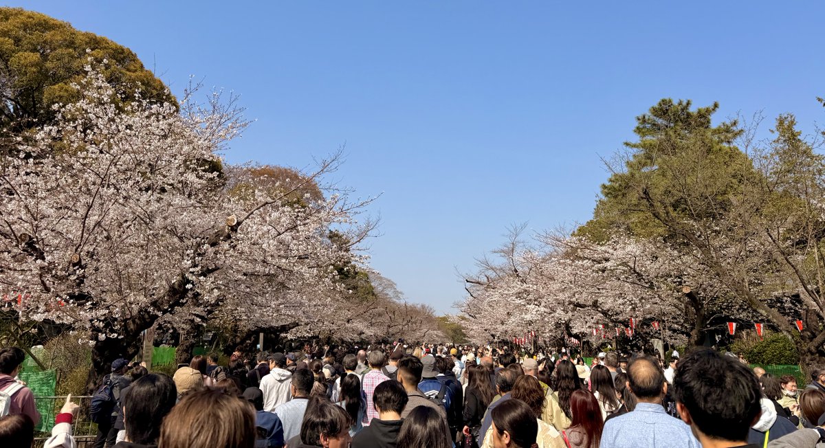 くろもん@上野御徒町 tweet media