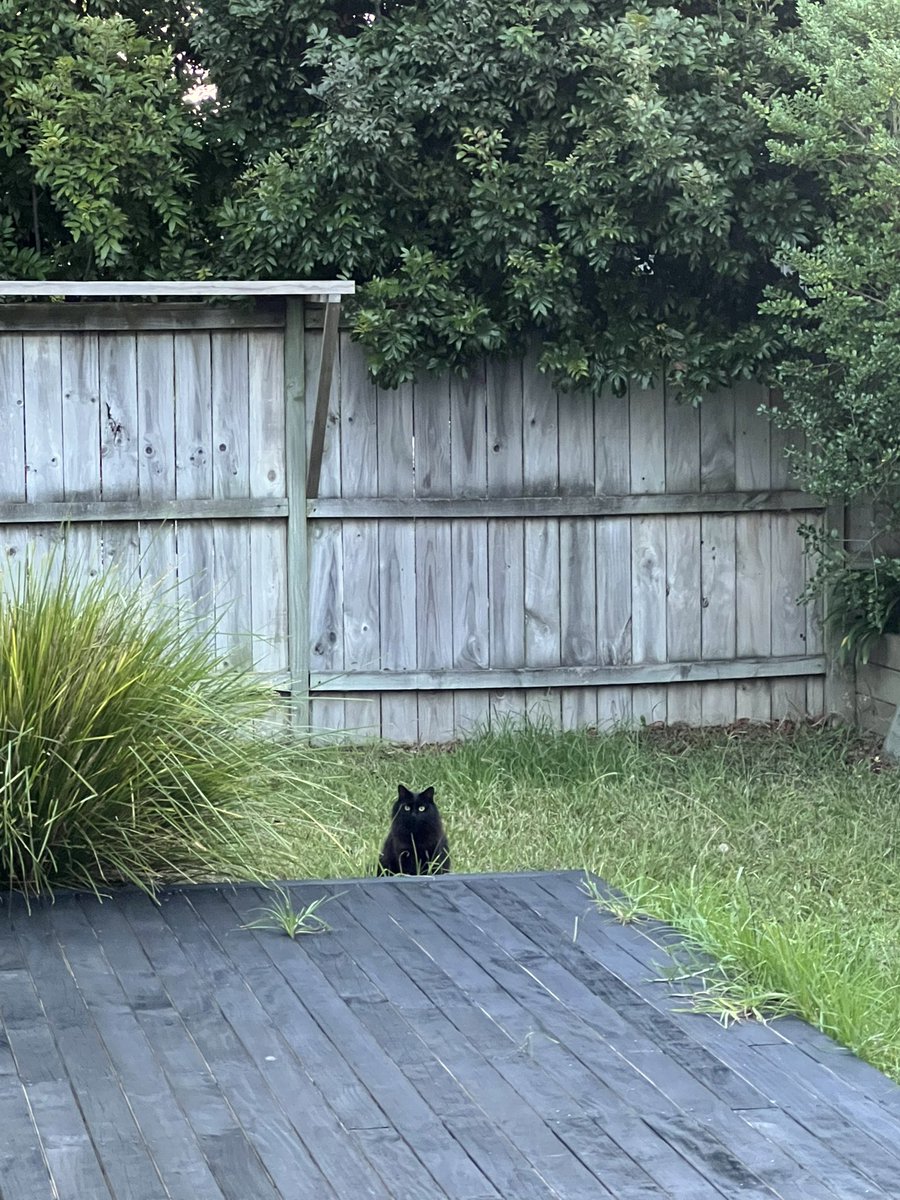 369💧九九【遊戲天才Vtuber】@ESKetch tweet media