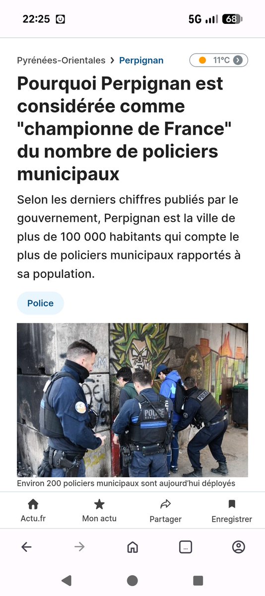 miaoumiaou tweet media