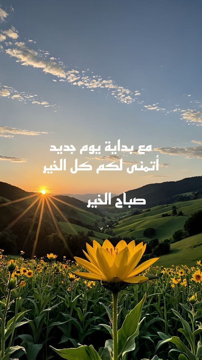 Mahmoud Hashish tweet media