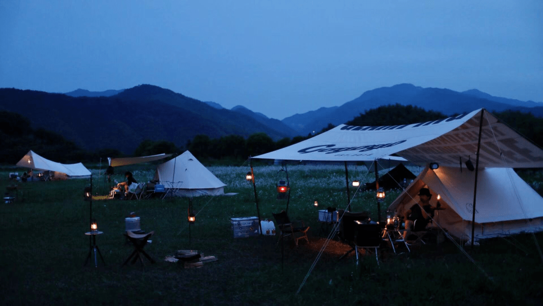 sedat can tweet media