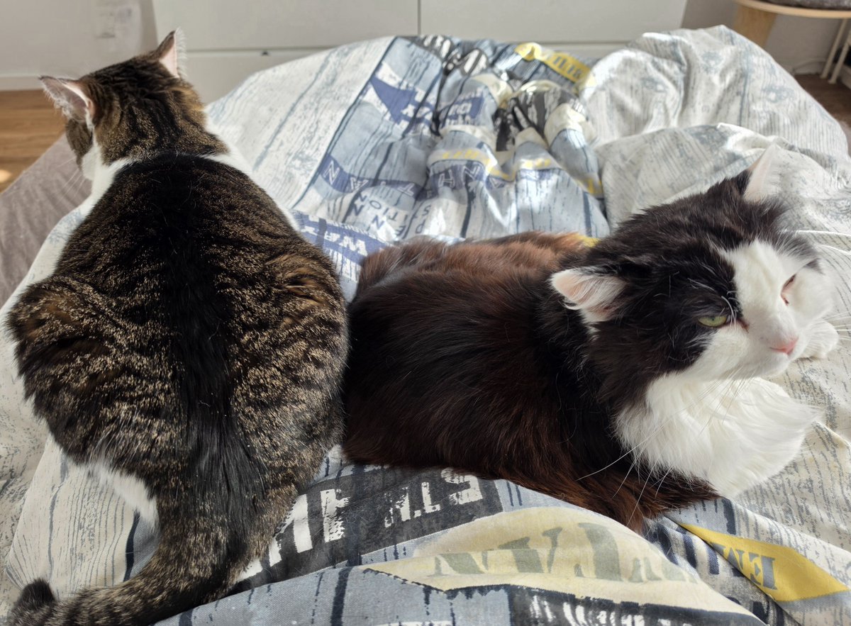 Tay Altrus @Dokomi #FF14 tweet media