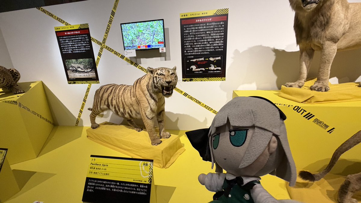 ふもふも幻想郷/Fumo JP Server tweet media