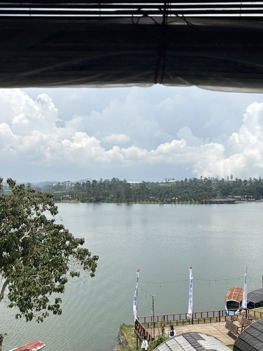 píooo ʚଓ tweet media